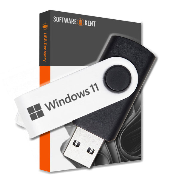 HP Recovery for Windows 11 USB Home and Professional Reinstall