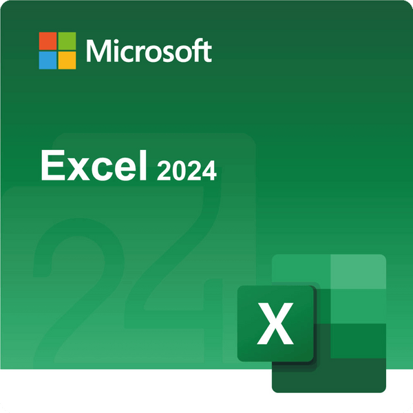 Microsoft Excel 2024